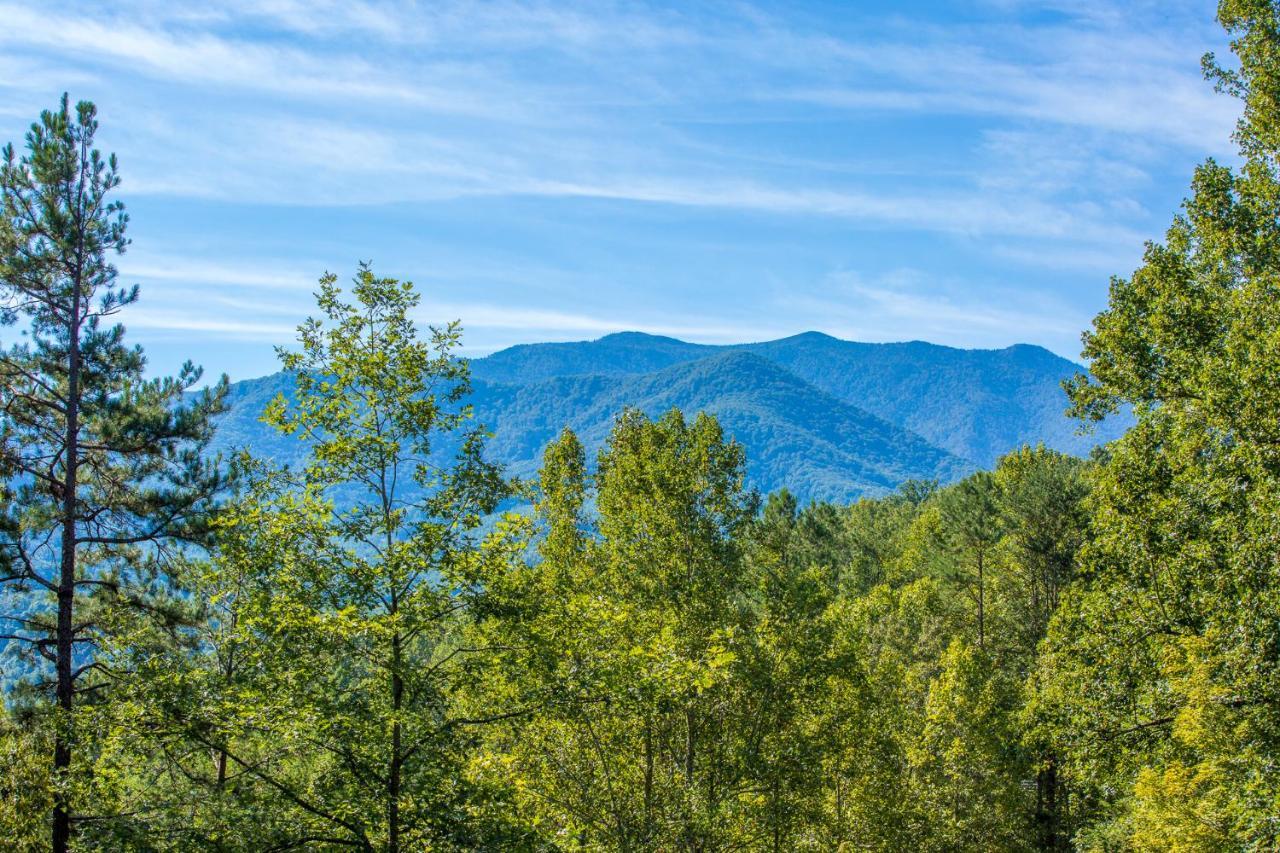 Rocky Top Lookout ガトリンバーグ エクステリア 写真