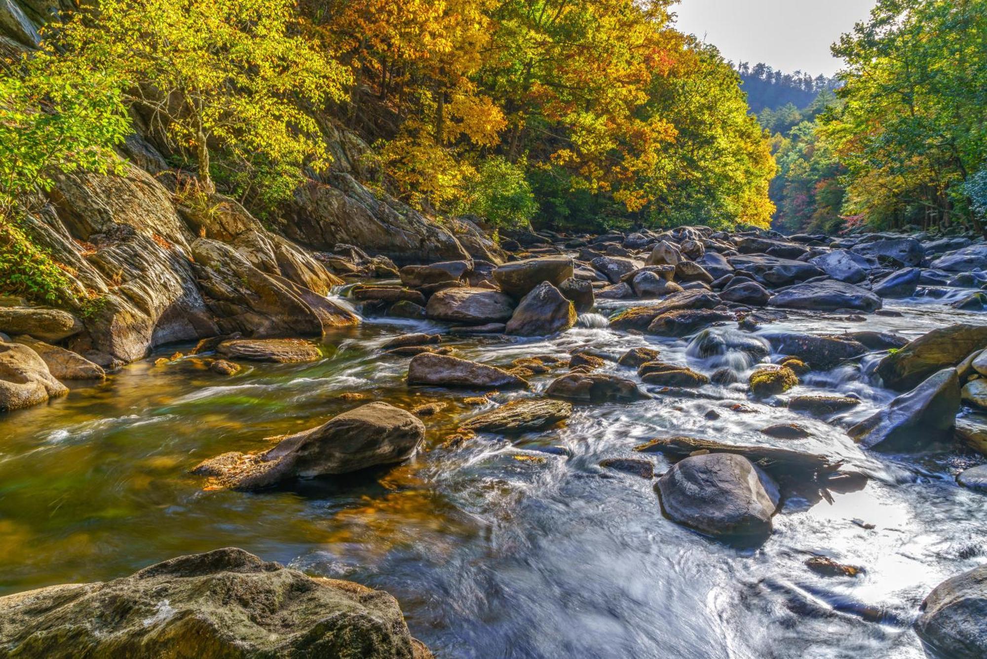 Rocky Top Lookout ガトリンバーグ 部屋 写真
